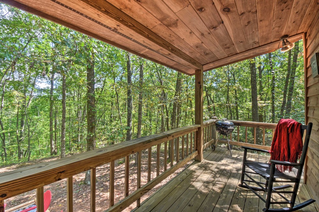 216 Brookhaven Trail Blue Ridge, GA 30513 - Photo 65 of 76 Gallery Image 65