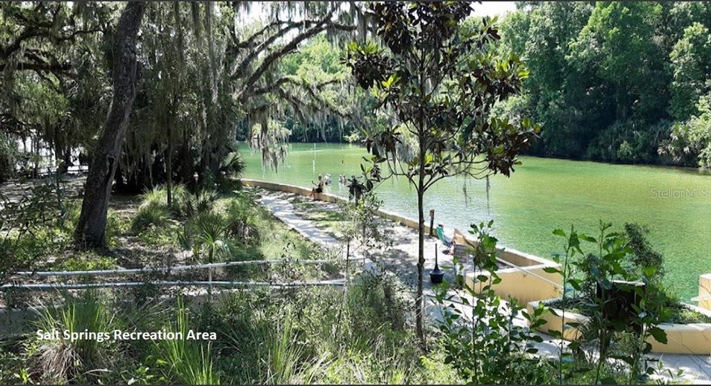 187 Paris Street Interlachen, FL 32148 - Photo 11 of 12 a view of a lake with a lake