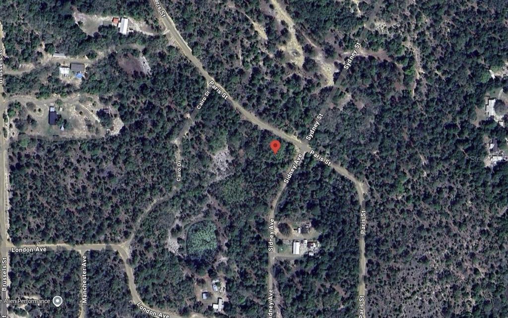 187 Paris Street Interlachen, FL 32148 - Photo 5 of 12