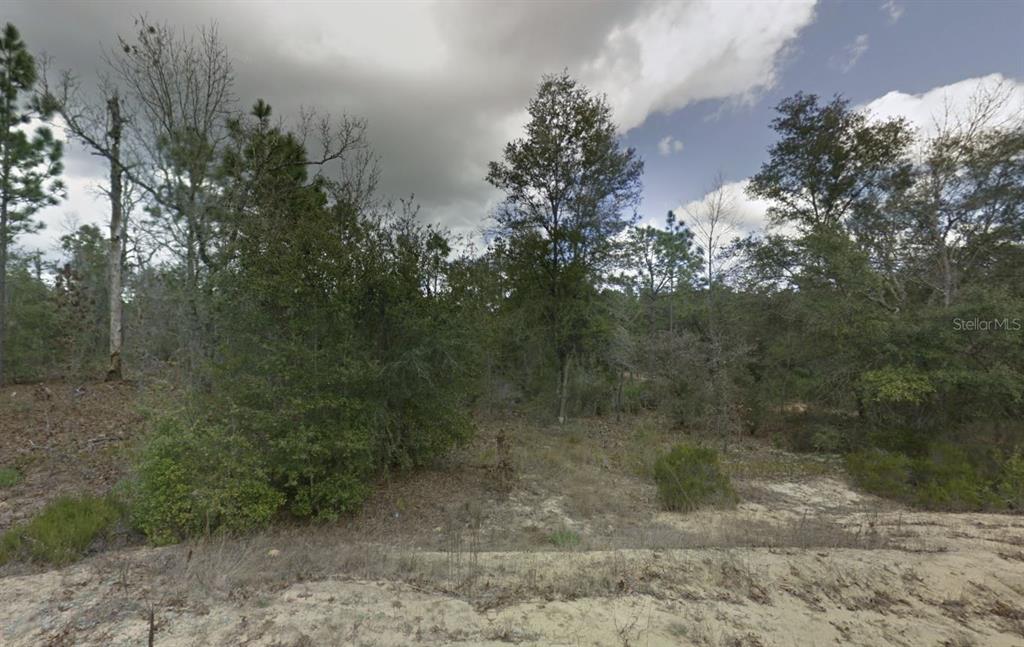 187 Paris Street Interlachen, FL 32148 - Photo 6 of 12 a view of a dry yard