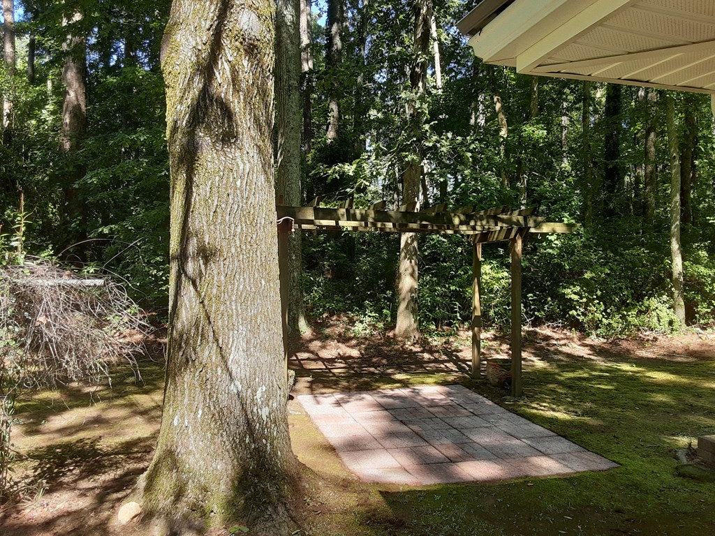 217 Charles Road Chatsworth, GA 30705 - Photo 7 of 43 Gallery Image 7