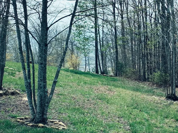 $675,000 | 220 Bear Crawl Road, Unit RB 28, Jasper, TN 37347