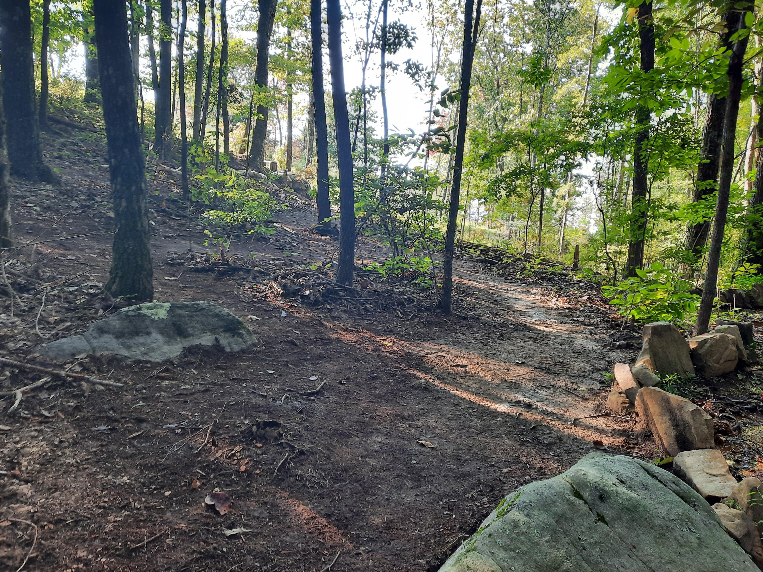 220 Bear Crawl Road, Unit RB 28 Jasper, TN 37347 - Photo 63 of 102 20210926_084903