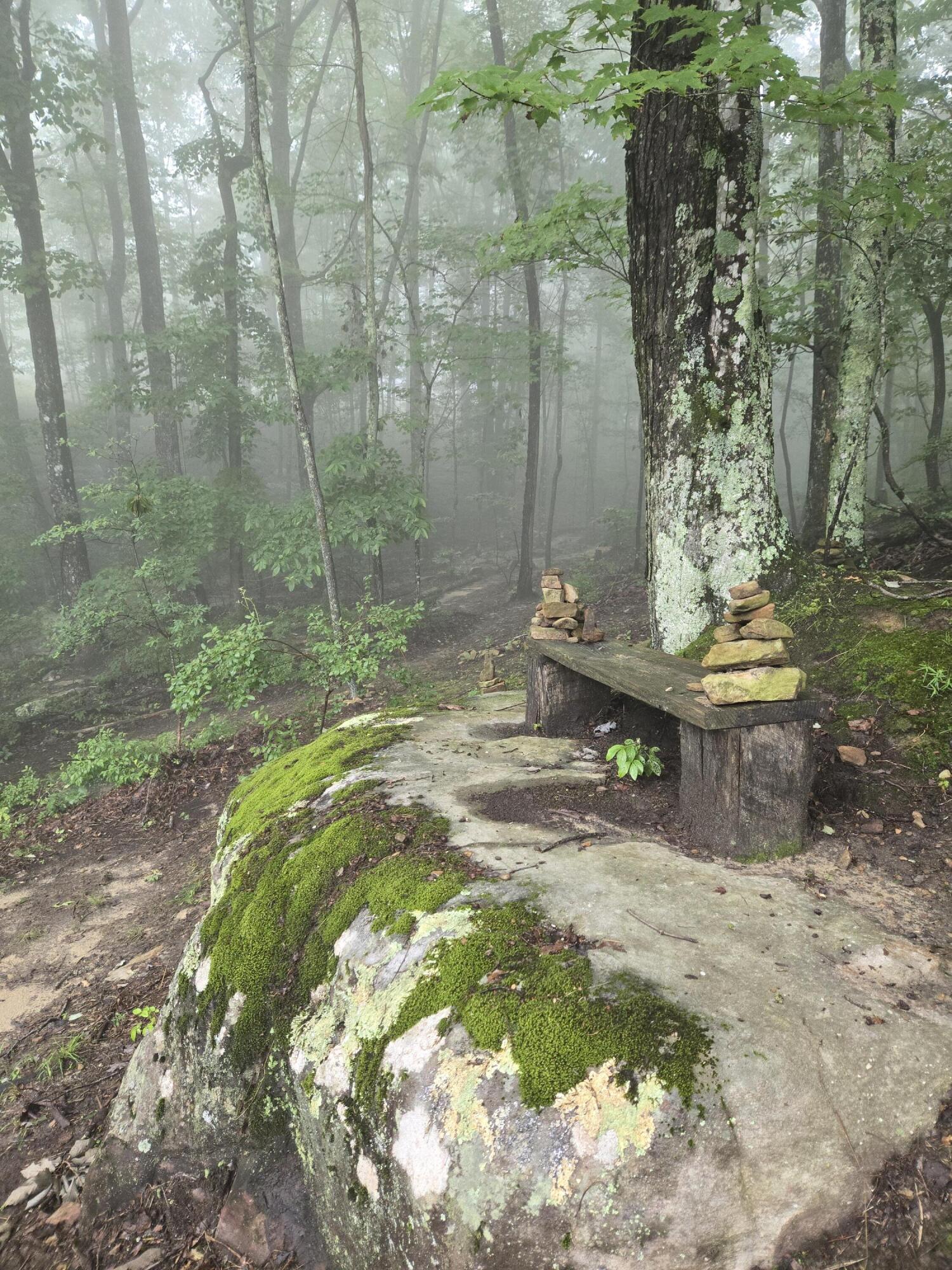 220 Bear Crawl Road, Unit RB 28 Jasper, TN 37347 - Photo 66 of 102 20250617_081024