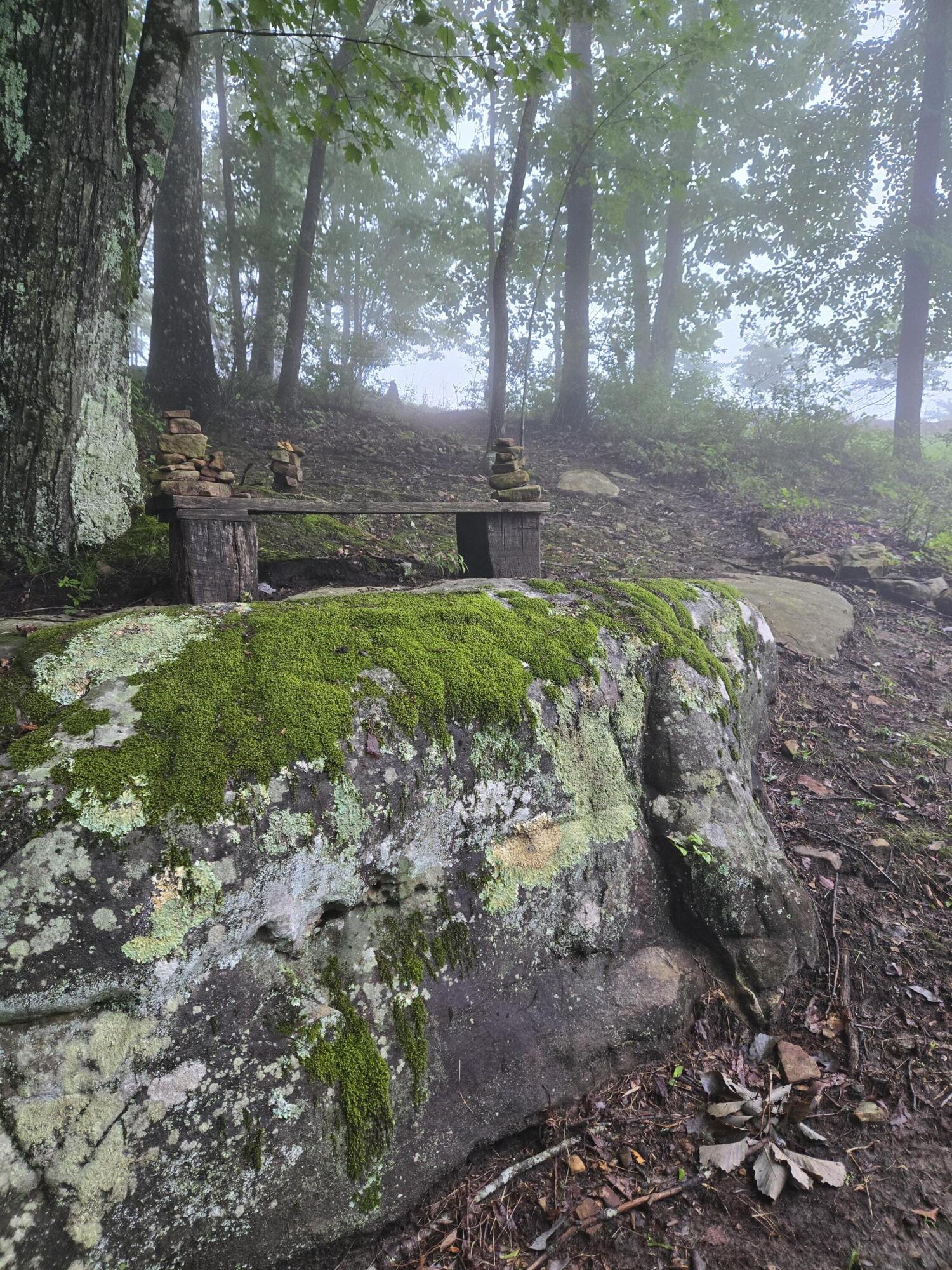 220 Bear Crawl Road, Unit RB 28 Jasper, TN 37347 - Photo 67 of 102 20250617_081004