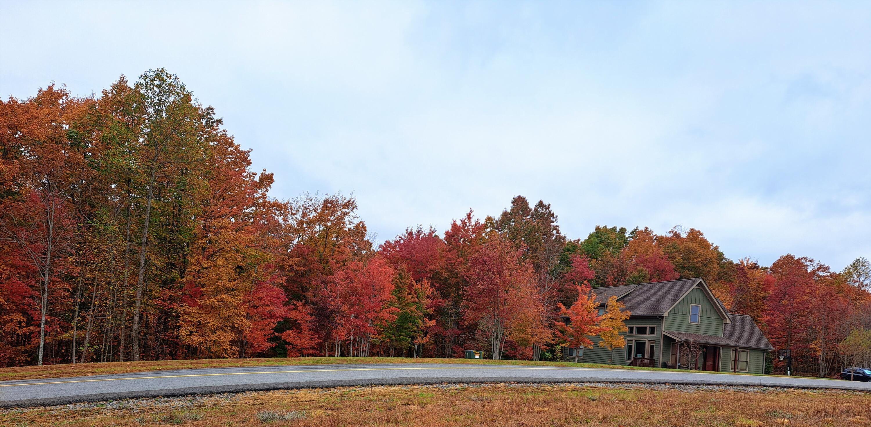 220 Bear Crawl Road, Unit RB 28 Jasper, TN 37347 - Photo 76 of 102 20221026_085113