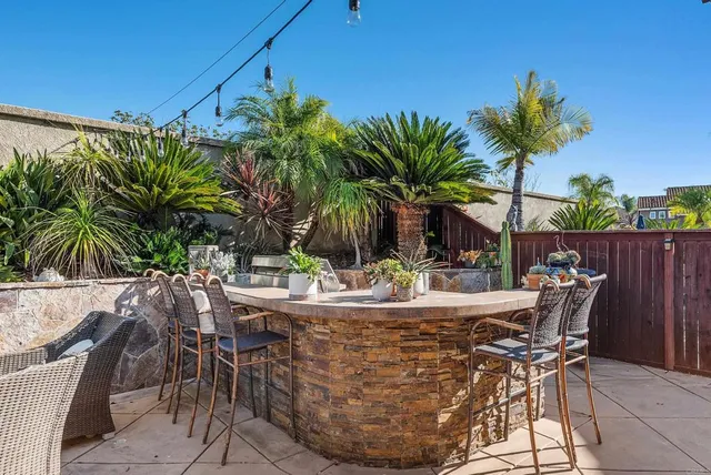 a view of a park with large trees and plants