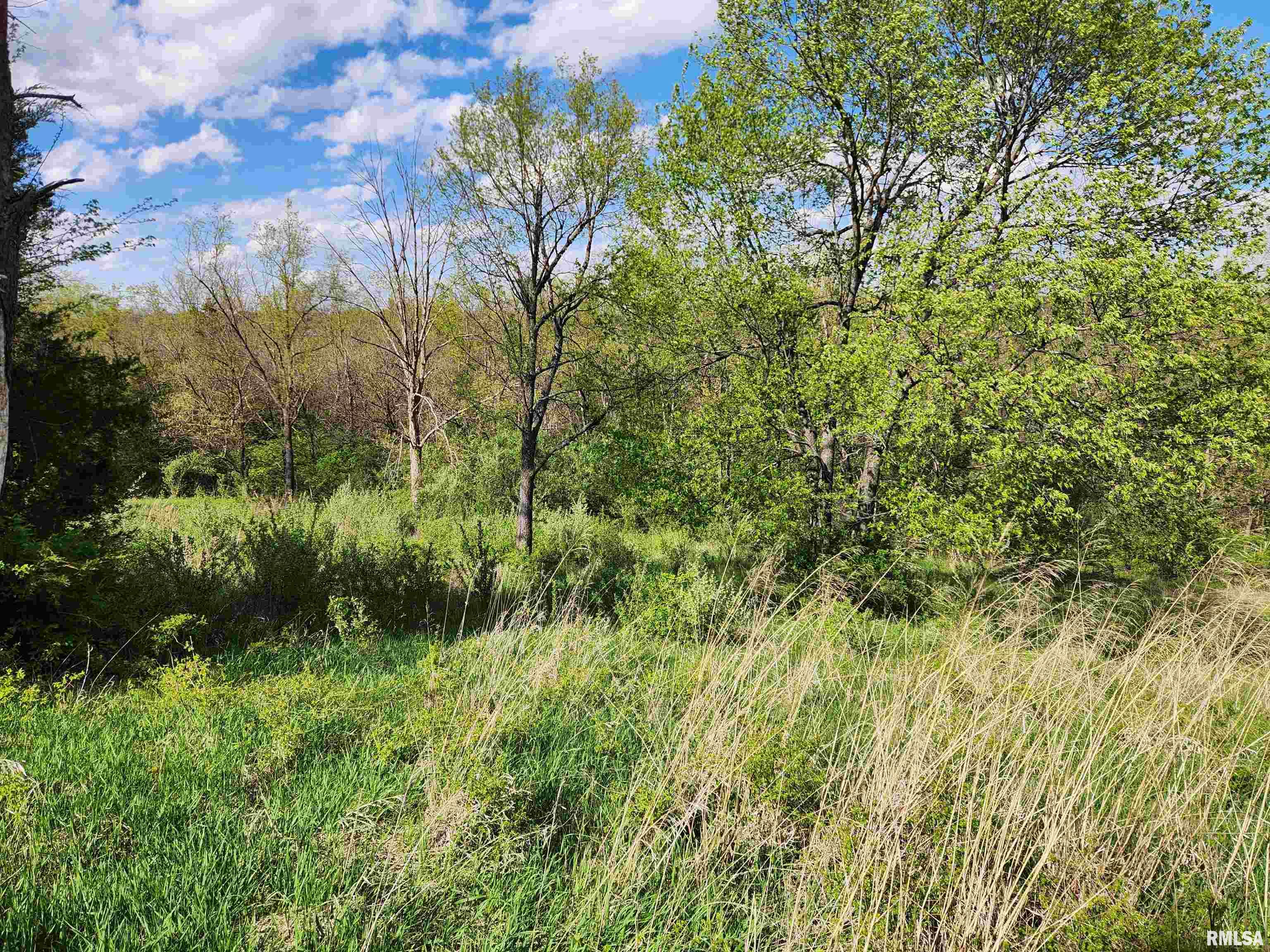 376 East Town Hall Road Metamora, IL 61548 - Photo 7 of 10