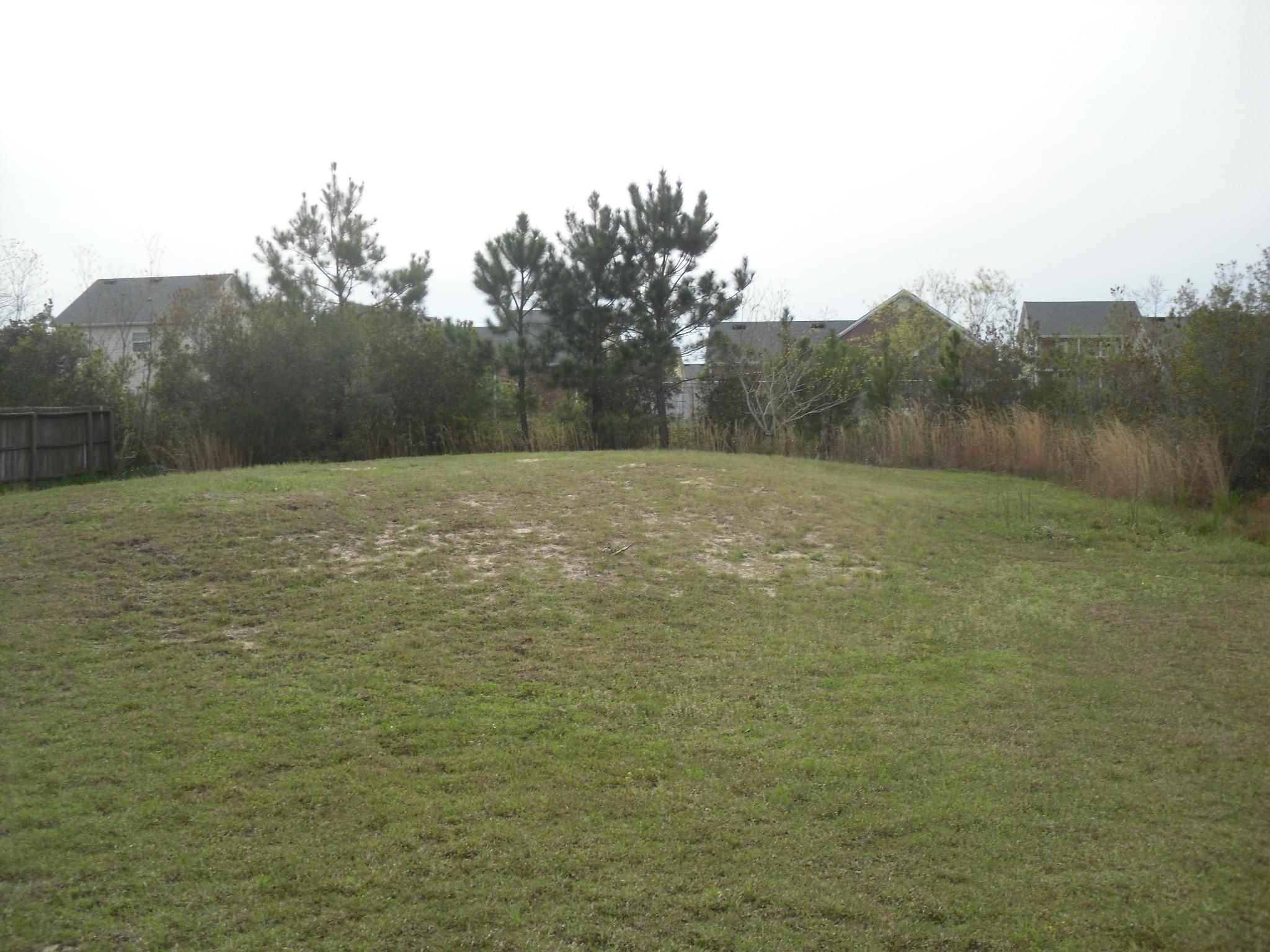 355 Bay Grove Road Freeport, FL 32439 - Photo 12 of 12 a view of open field with green space