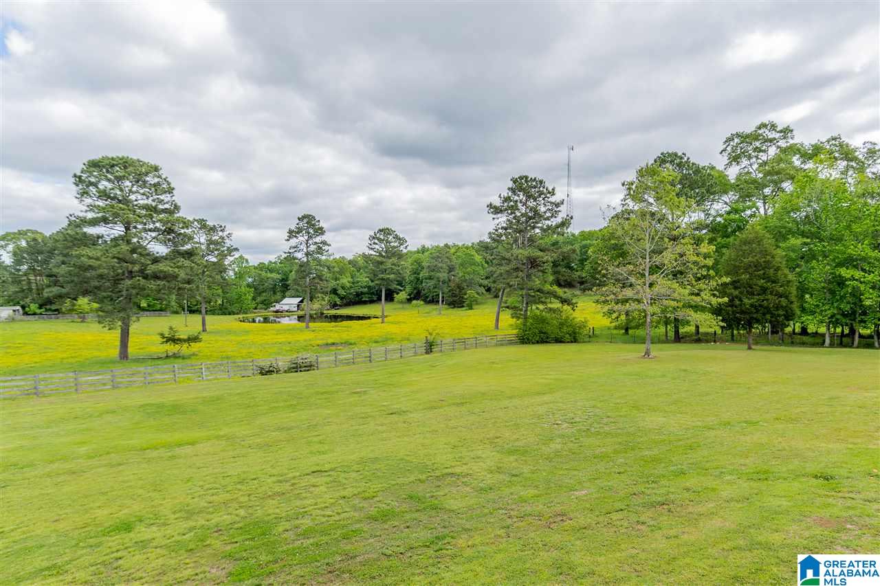 7770 Dry Creek Road Pell City, AL 35128 - Photo 41 of 49