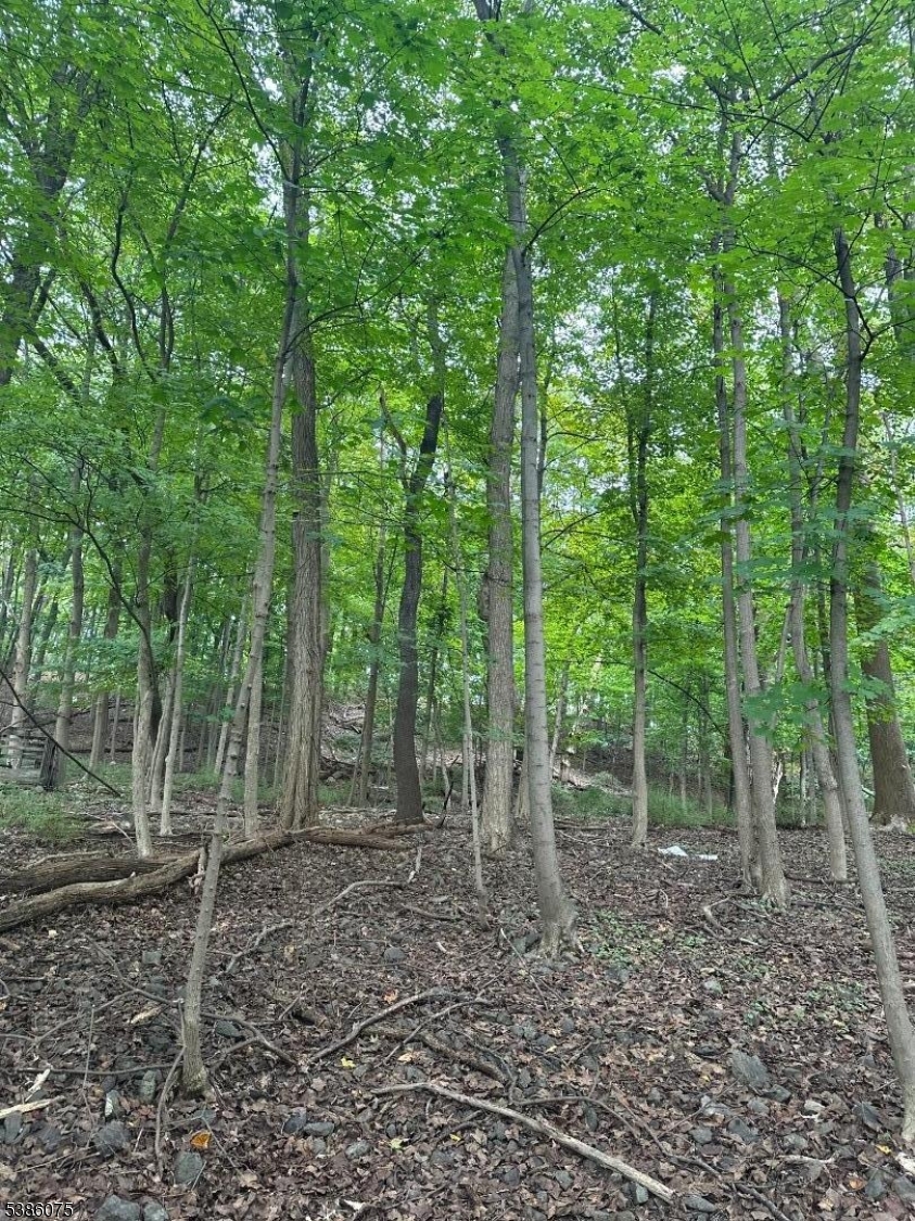 86 Chestnut Street Morristown, NJ 07960 - Photo 3 of 9 a view of outdoor space and green space