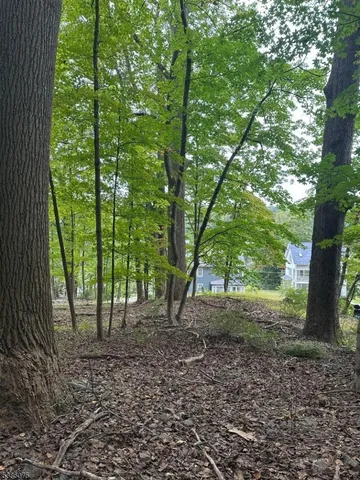 a view of outdoor space and garden
