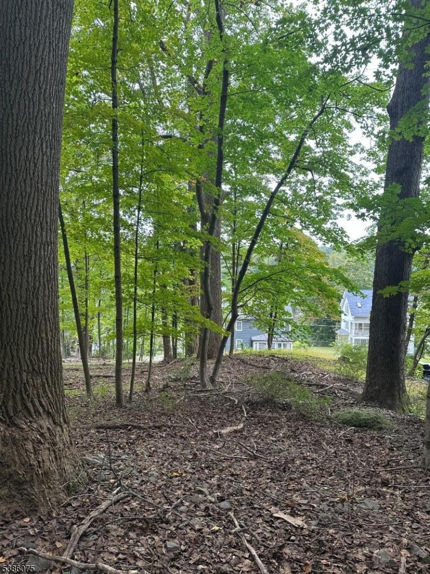 86 Chestnut Street Morristown, NJ 07960 - Photo 4 of 9 a view of outdoor space and garden