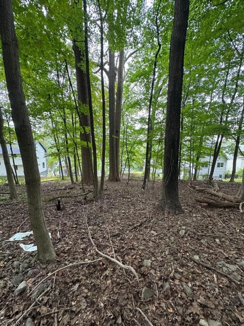 86 Chestnut Street Morristown, NJ 07960 - Photo 6 of 9 a backyard of a house with lots of green space