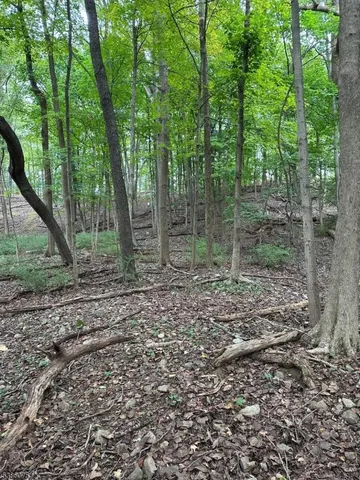 a backyard of a house with lots of green space