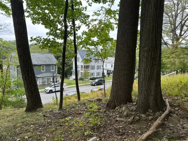 a view of a house with backyard and a tree