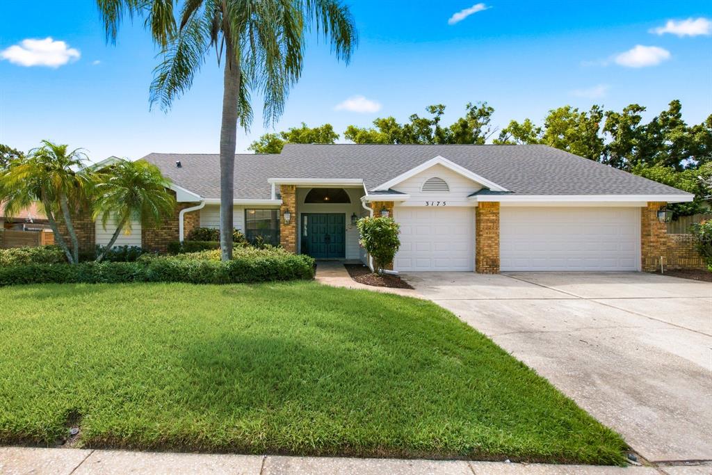 3175 Sandy Ridge Drive Clearwater, FL 33761 - Photo 7 of 69