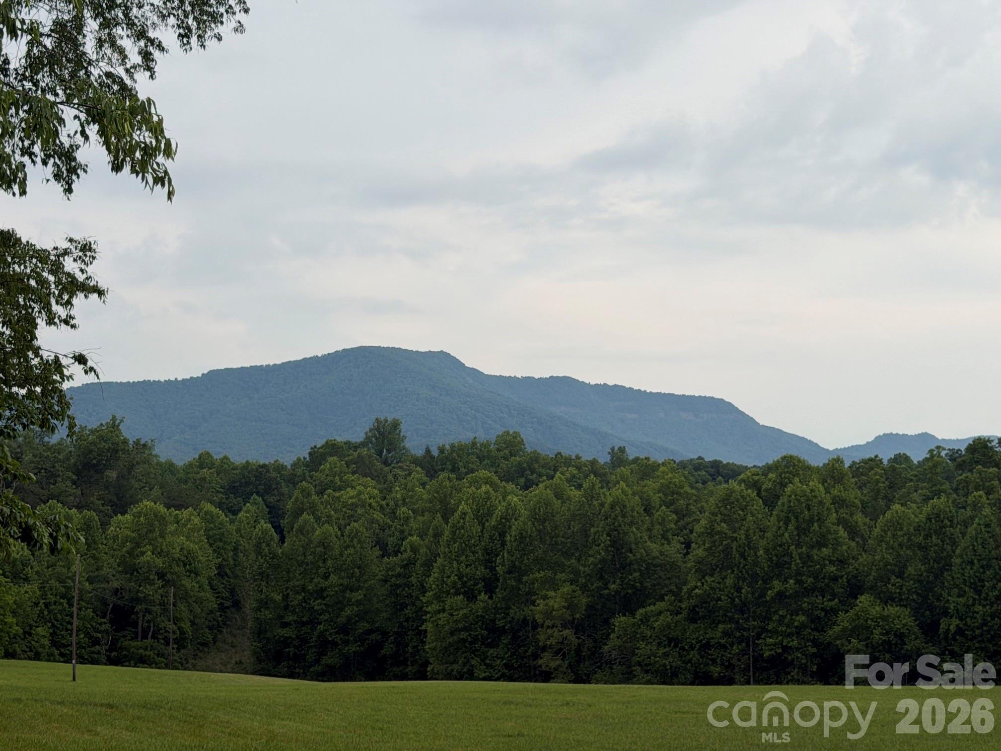Lot 5 Parker Padgett Road Old Fort, NC 28762 - Photo 8 of 12