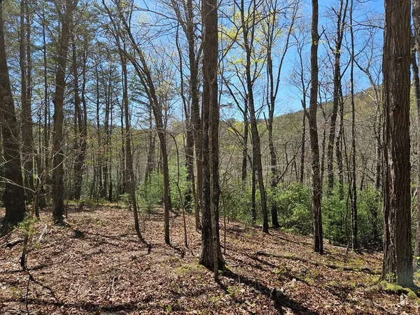 a view of outdoor space with trees
