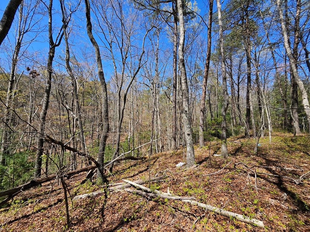 5.2 Deer Crest Road Blue Ridge, GA 30513 - Photo 13 of 66 a backyard of a house with lots of trees