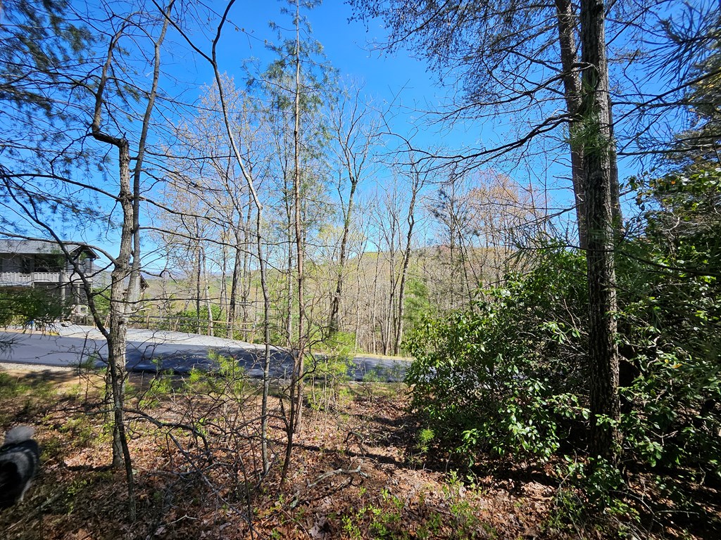 5.2 Deer Crest Road Blue Ridge, GA 30513 - Photo 14 of 66