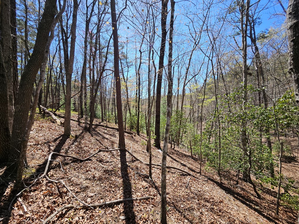 5.2 Deer Crest Road Blue Ridge, GA 30513 - Photo 16 of 66 a view of a backyard