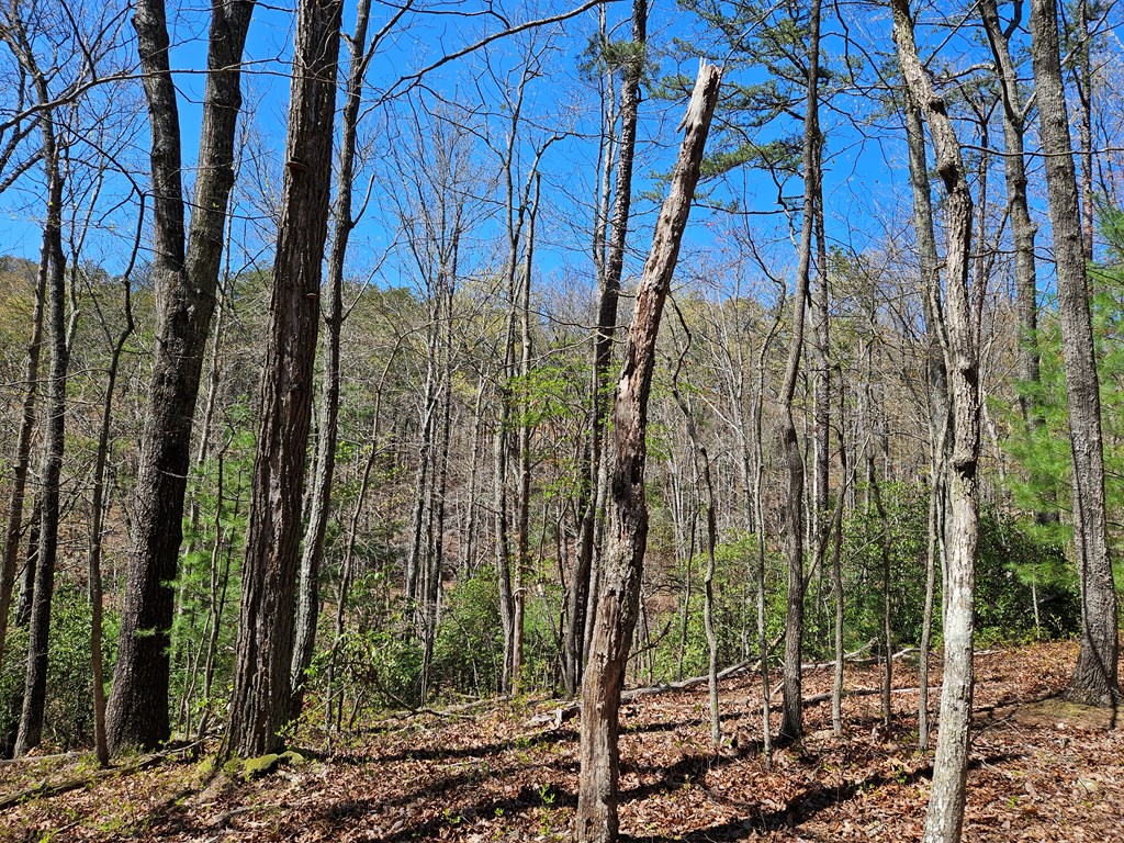 5.2 Deer Crest Road Blue Ridge, GA 30513 - Photo 17 of 66