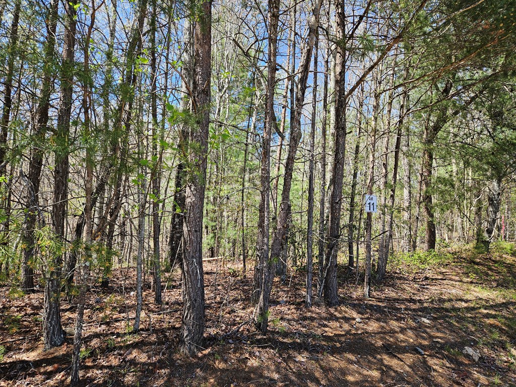 5.2 Deer Crest Road Blue Ridge, GA 30513 - Photo 19 of 66 a view of forest