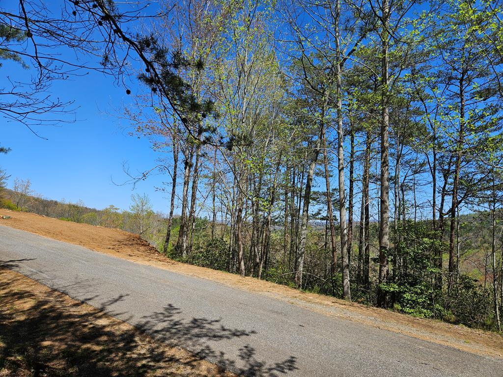 5.2 Deer Crest Road Blue Ridge, GA 30513 - Photo 2 of 66 a view of a dry yard with wooden fence