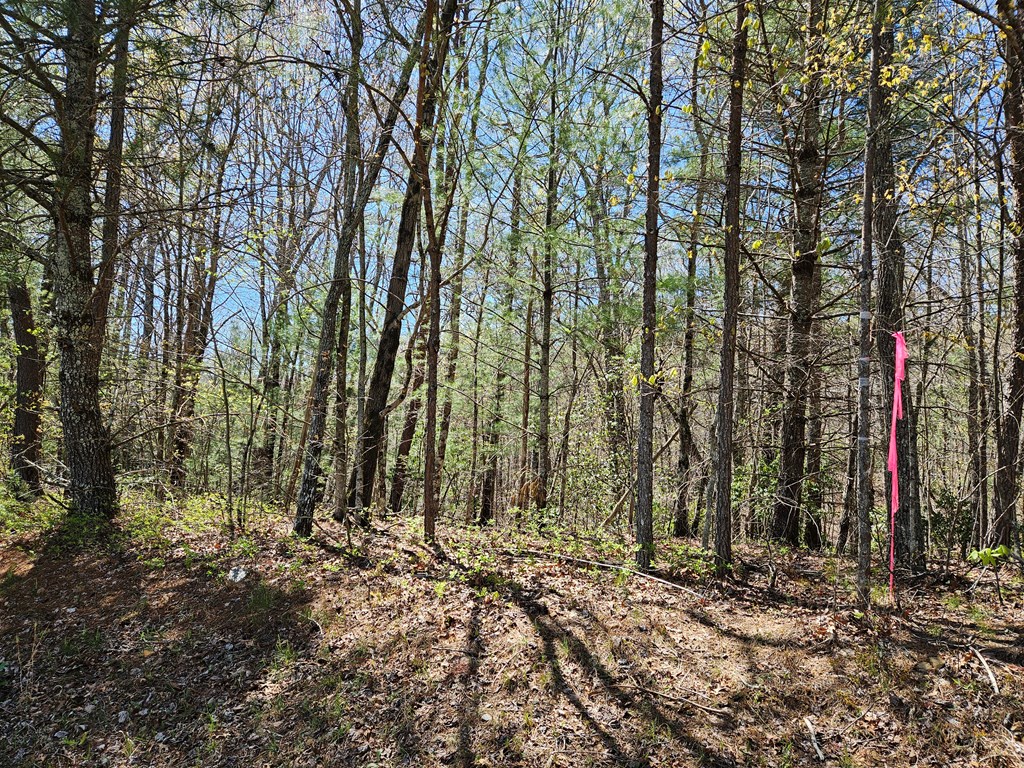 5.2 Deer Crest Road Blue Ridge, GA 30513 - Photo 21 of 66 a view of outdoor space with deck and trees