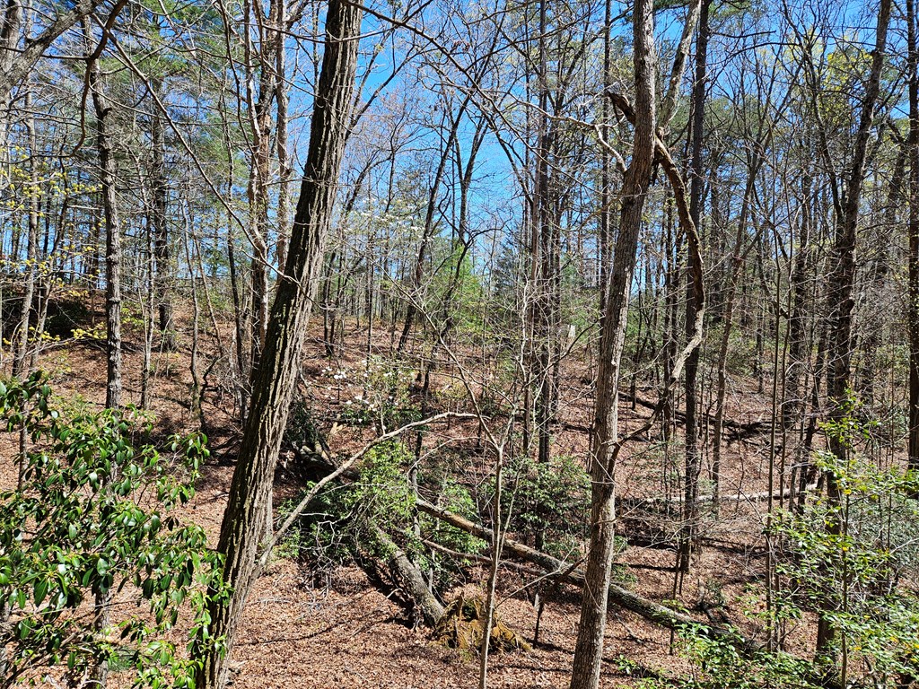 5.2 Deer Crest Road Blue Ridge, GA 30513 - Photo 25 of 66