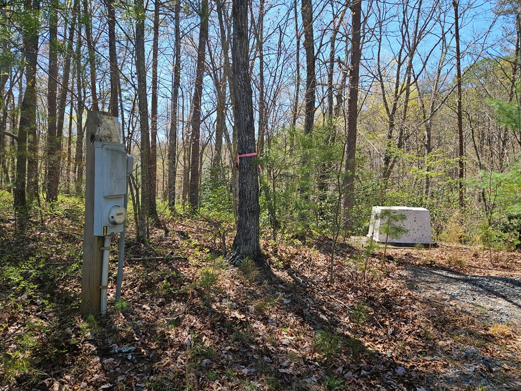 5.2 Deer Crest Road Blue Ridge, GA 30513 - Photo 26 of 66 a view of a forest with trees