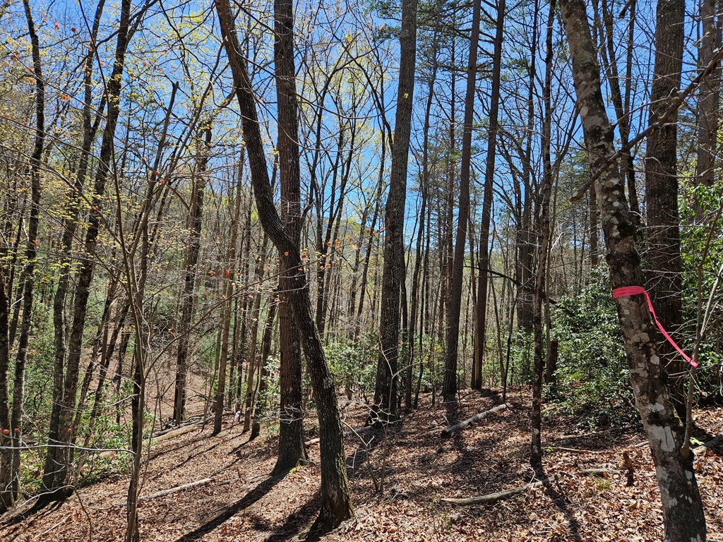 5.2 Deer Crest Road Blue Ridge, GA 30513 - Photo 27 of 66 a view of outdoor space