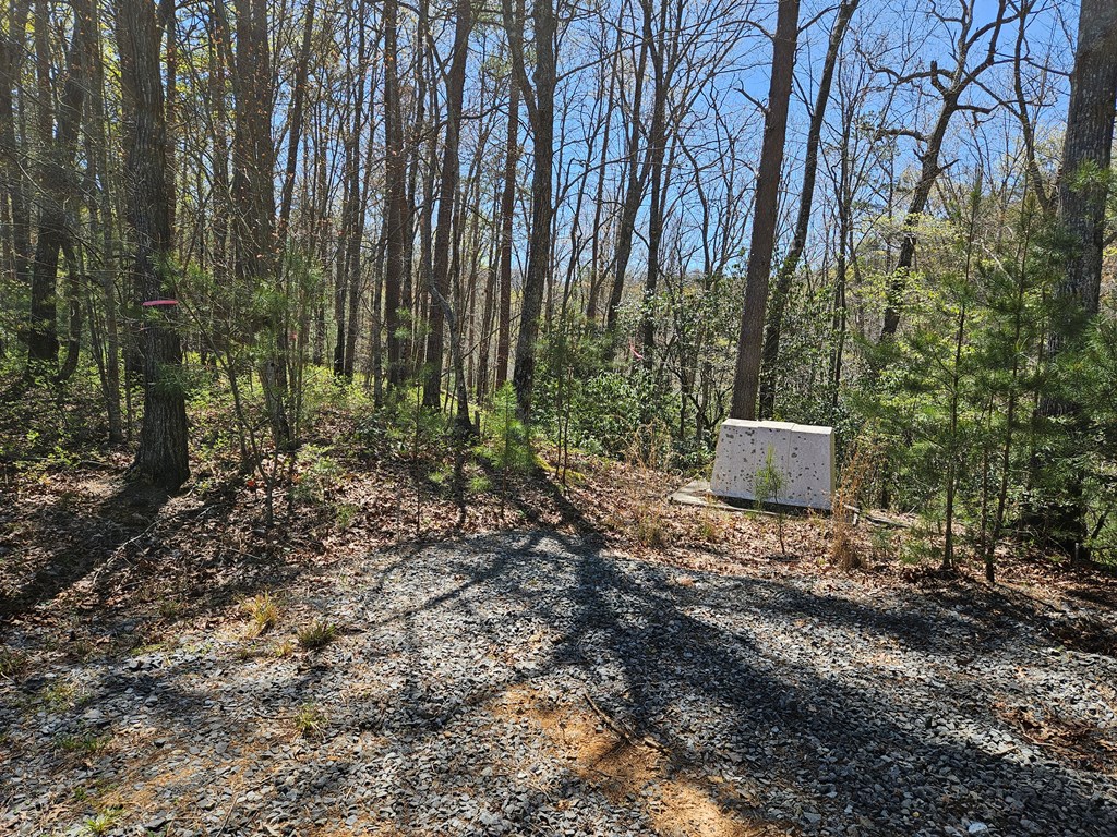 5.2 Deer Crest Road Blue Ridge, GA 30513 - Photo 28 of 66 a backyard of a house with lots of green space