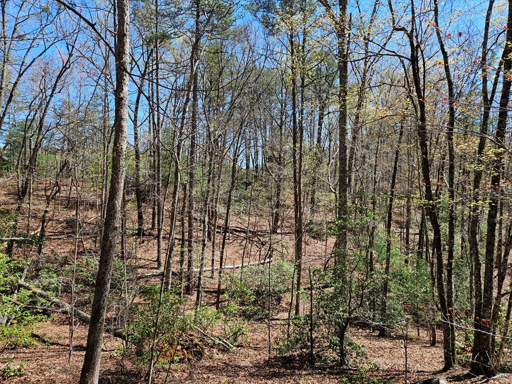 5.2 Deer Crest Road Blue Ridge, GA 30513 - Photo 29 of 66