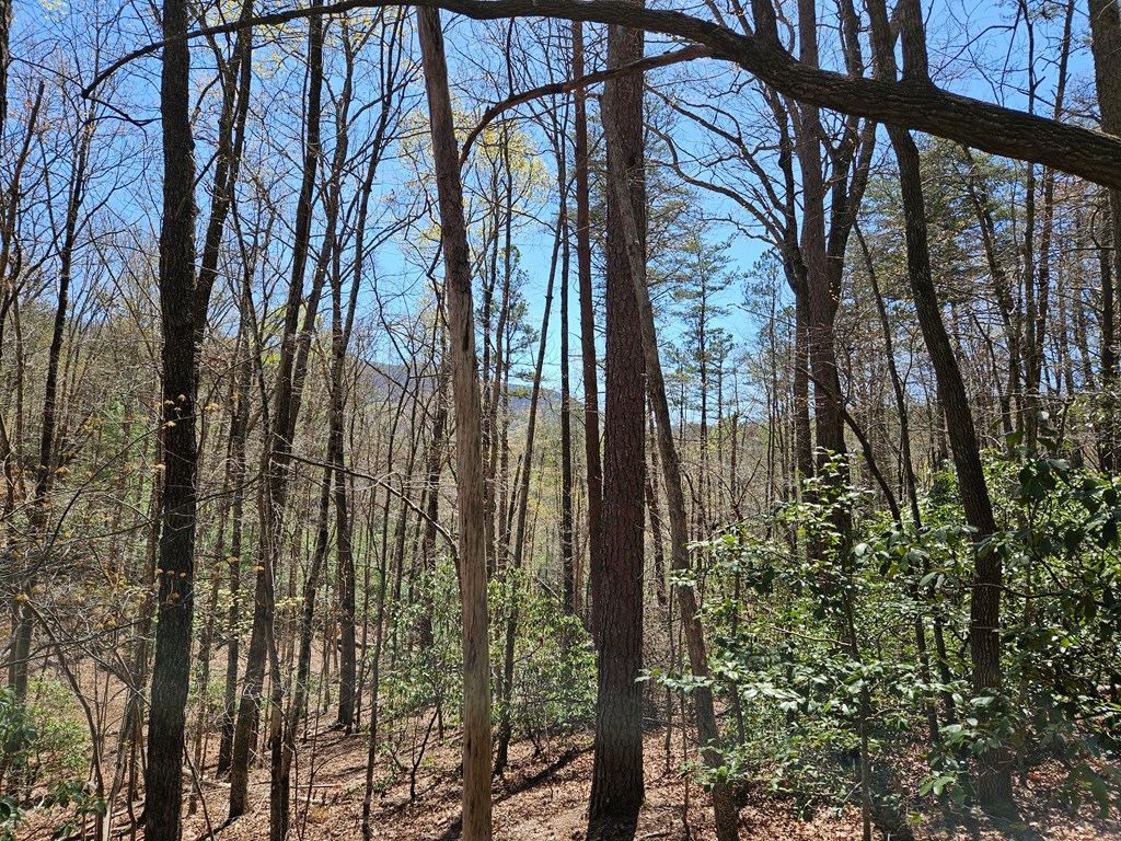 5.2 Deer Crest Road Blue Ridge, GA 30513 - Photo 30 of 66