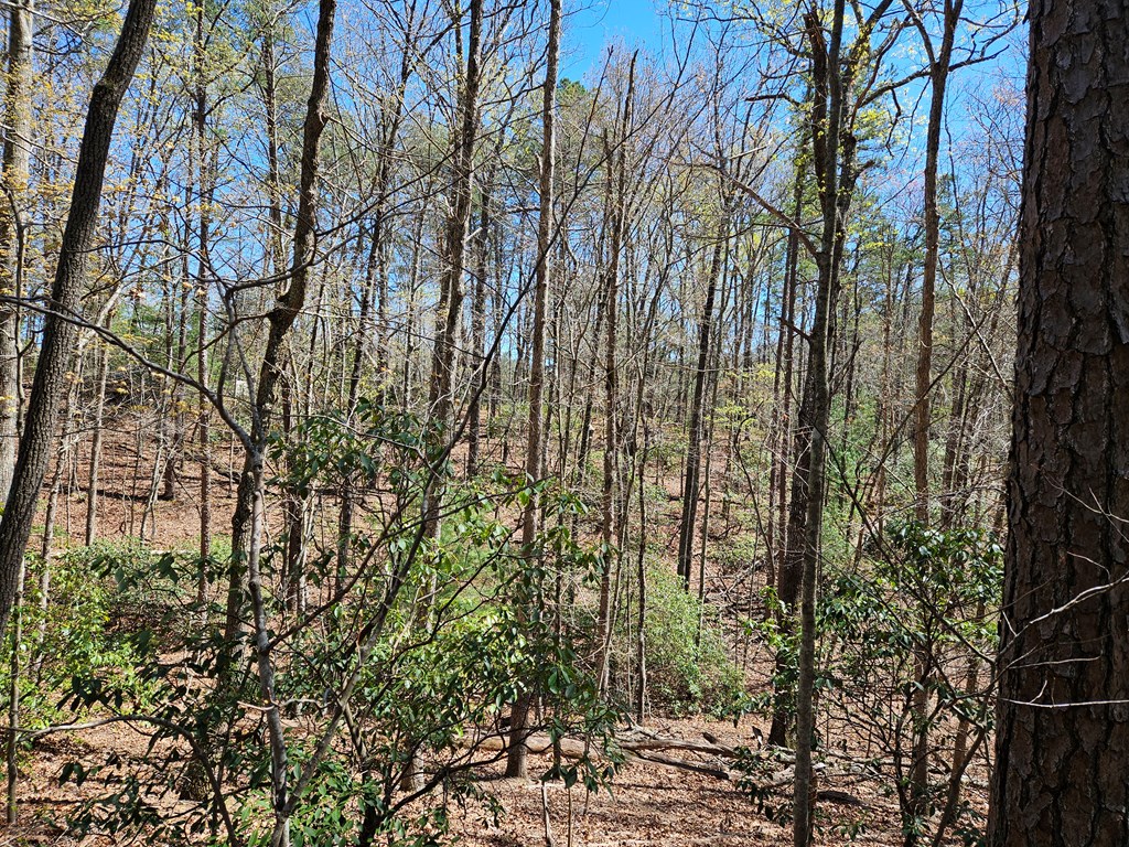 5.2 Deer Crest Road Blue Ridge, GA 30513 - Photo 31 of 66