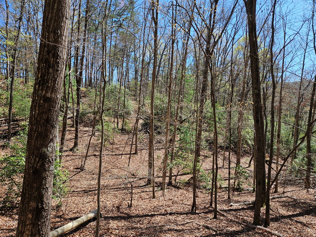 5.2 Deer Crest Road Blue Ridge, GA 30513 - Photo 33 of 66