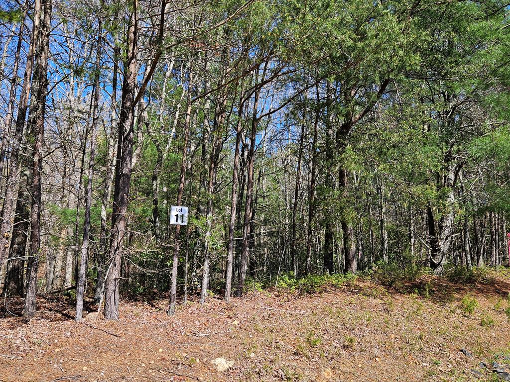 5.2 Deer Crest Road Blue Ridge, GA 30513 - Photo 36 of 66