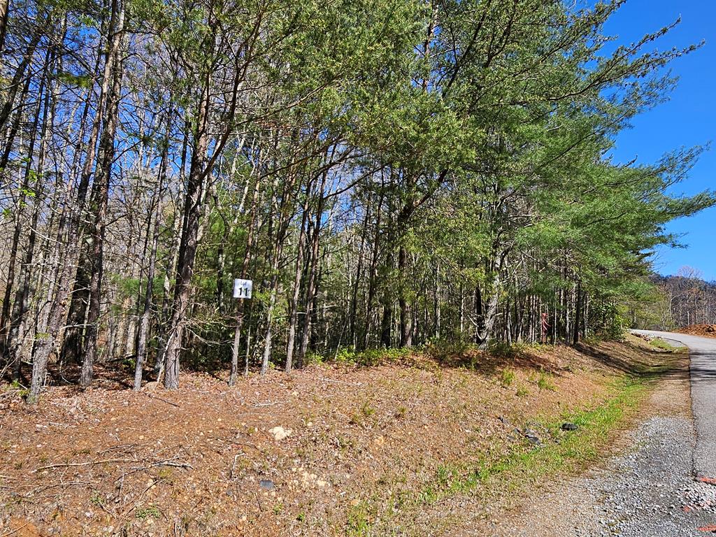 5.2 Deer Crest Road Blue Ridge, GA 30513 - Photo 37 of 66 a view of a yard with trees