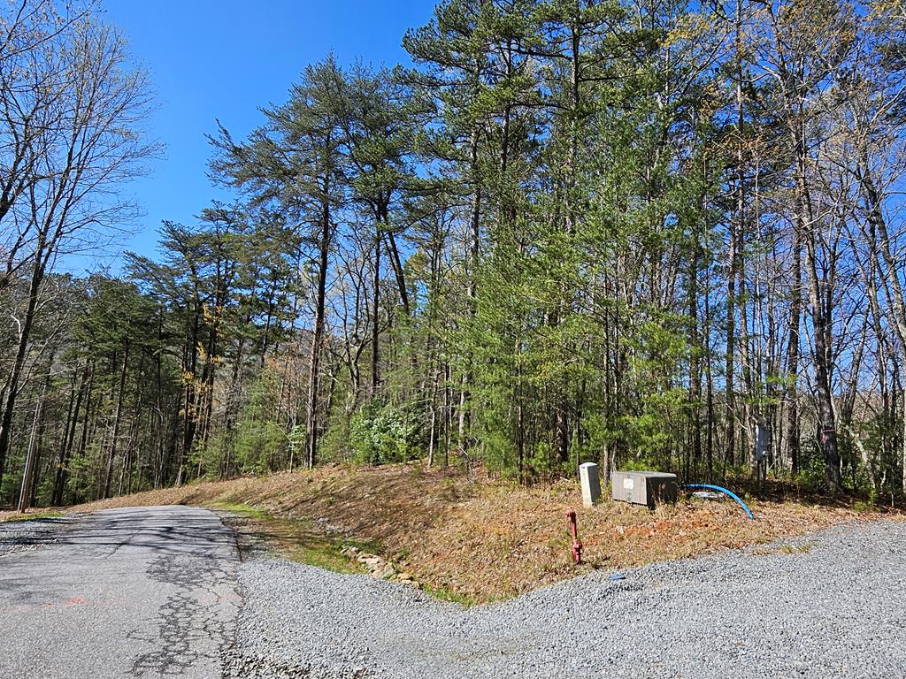 5.2 Deer Crest Road Blue Ridge, GA 30513 - Photo 38 of 66 a backyard of a house with trees