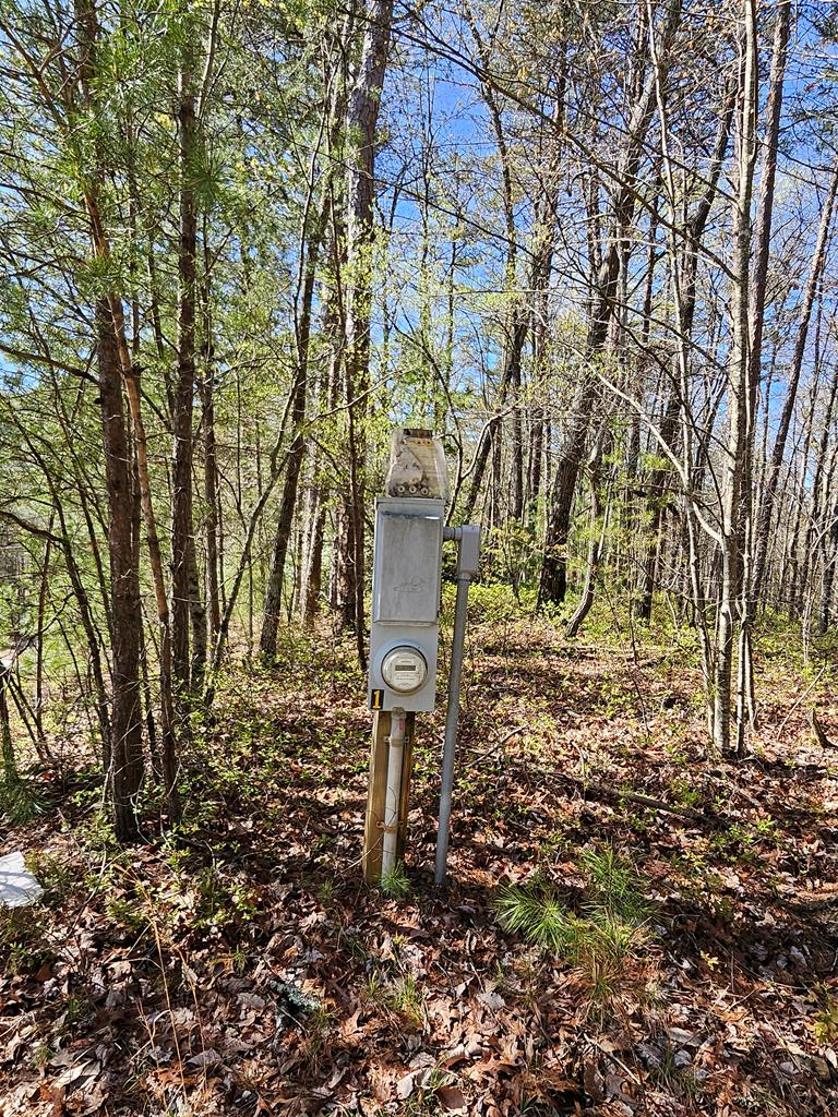 5.2 Deer Crest Road Blue Ridge, GA 30513 - Photo 39 of 66 a backyard of a house with lots of green space