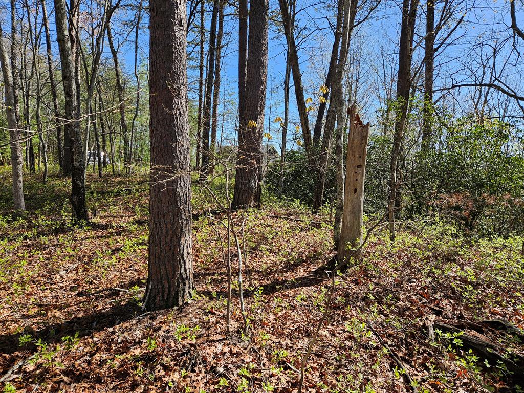 5.2 Deer Crest Road Blue Ridge, GA 30513 - Photo 41 of 66 a view of a backyard of the house