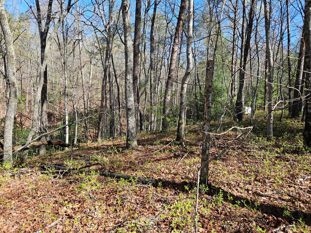 5.2 Deer Crest Road Blue Ridge, GA 30513 - Photo 43 of 66 a backyard of a house with lots of green space