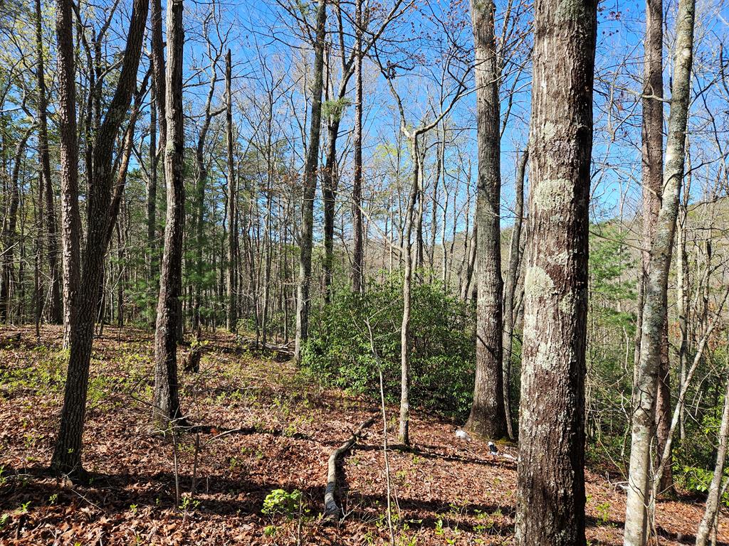 5.2 Deer Crest Road Blue Ridge, GA 30513 - Photo 44 of 66