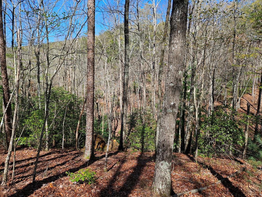 5.2 Deer Crest Road Blue Ridge, GA 30513 - Photo 45 of 66