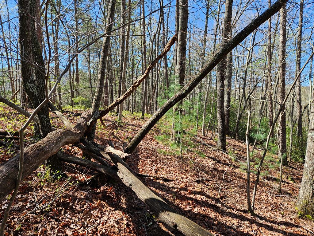 5.2 Deer Crest Road Blue Ridge, GA 30513 - Photo 50 of 66 a view of mountain with wooden stairs
