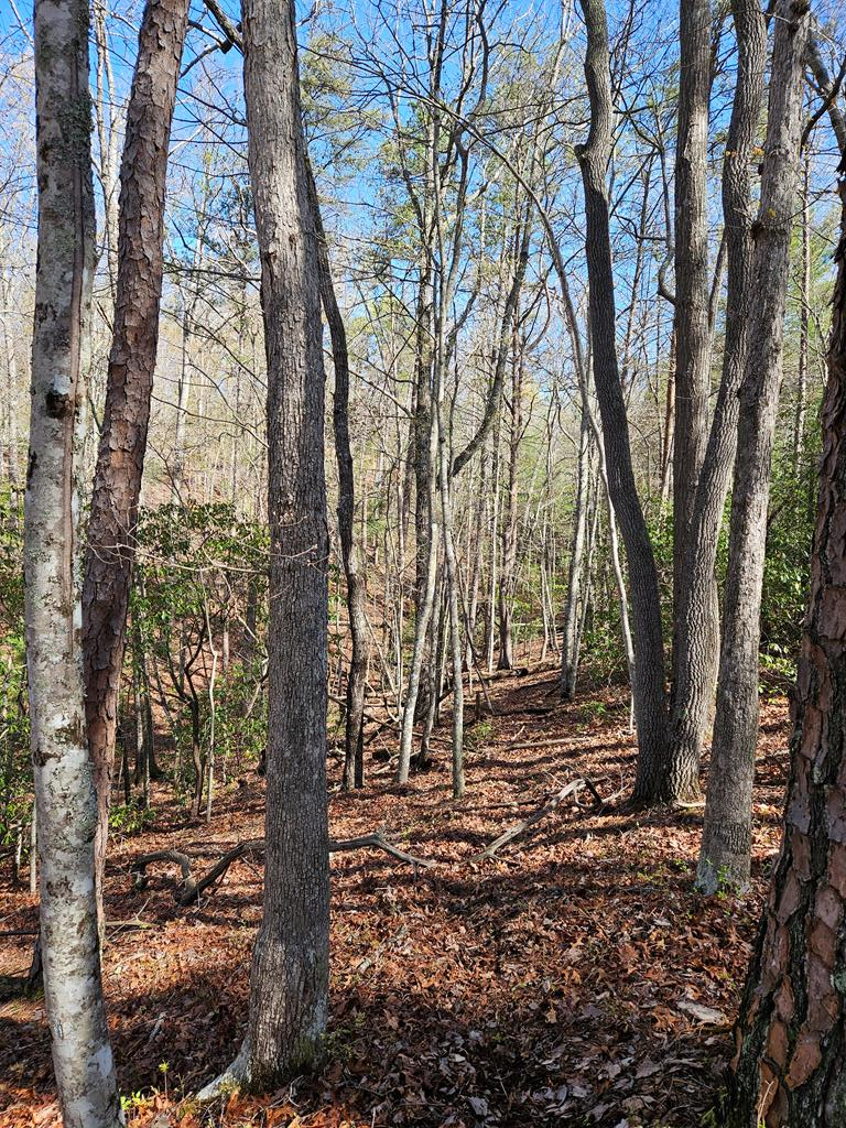 5.2 Deer Crest Road Blue Ridge, GA 30513 - Photo 51 of 66 a backyard of a house with lots of green space