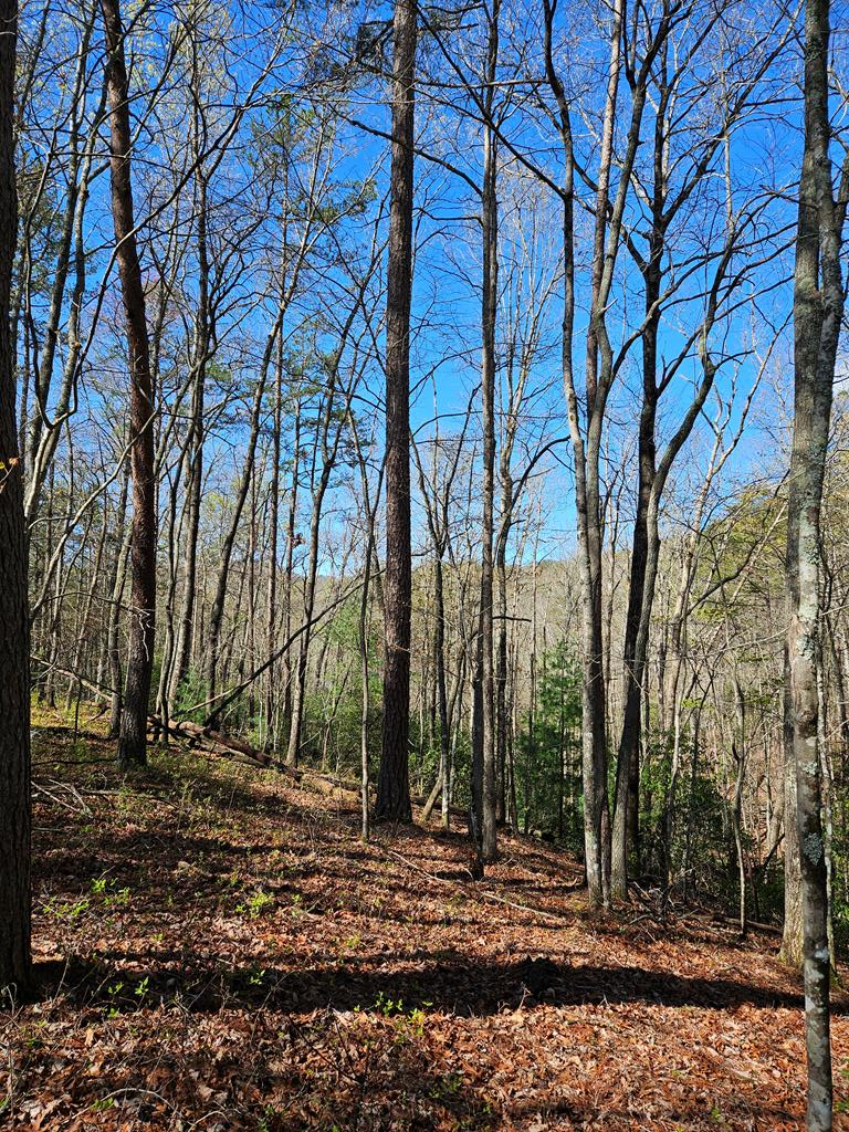 5.2 Deer Crest Road Blue Ridge, GA 30513 - Photo 52 of 66