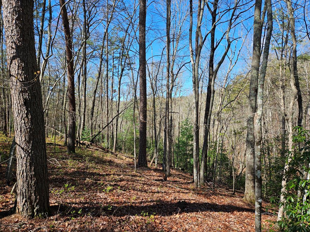 5.2 Deer Crest Road Blue Ridge, GA 30513 - Photo 54 of 66 a view of a backyard with trees